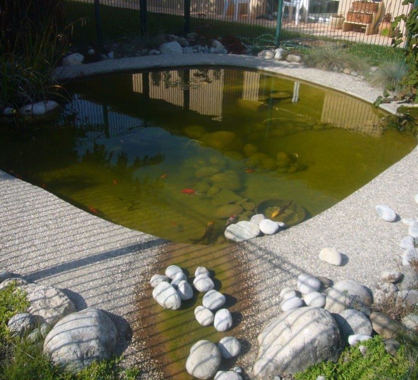 amenagement-bassin-aquatiques